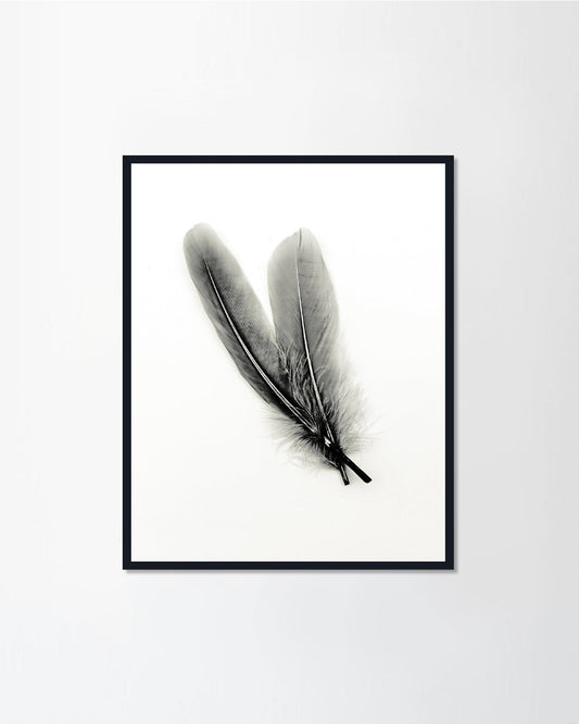 Black and White Art