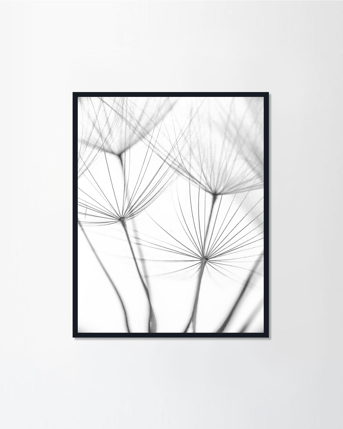 The seeds of new life