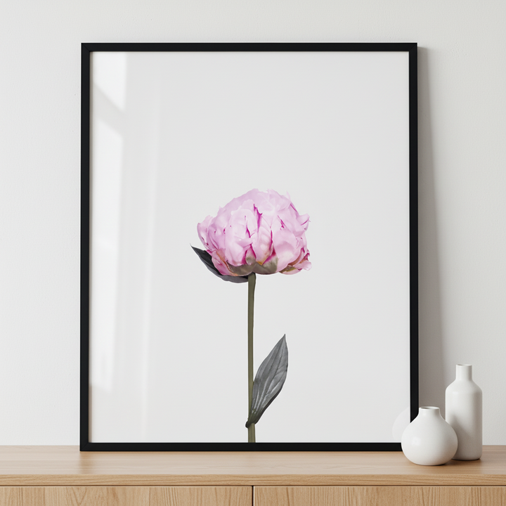Peony ภาพติดผังสไตล์ธรรมชาติ สำหรับตกแต่งบ้านและคอนโด พร้อมกรอบคุณภาพ