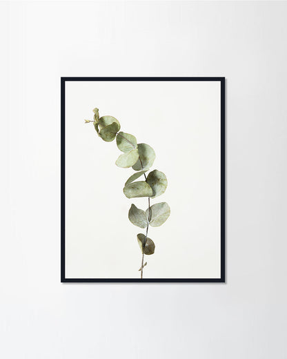 Green Leaves I