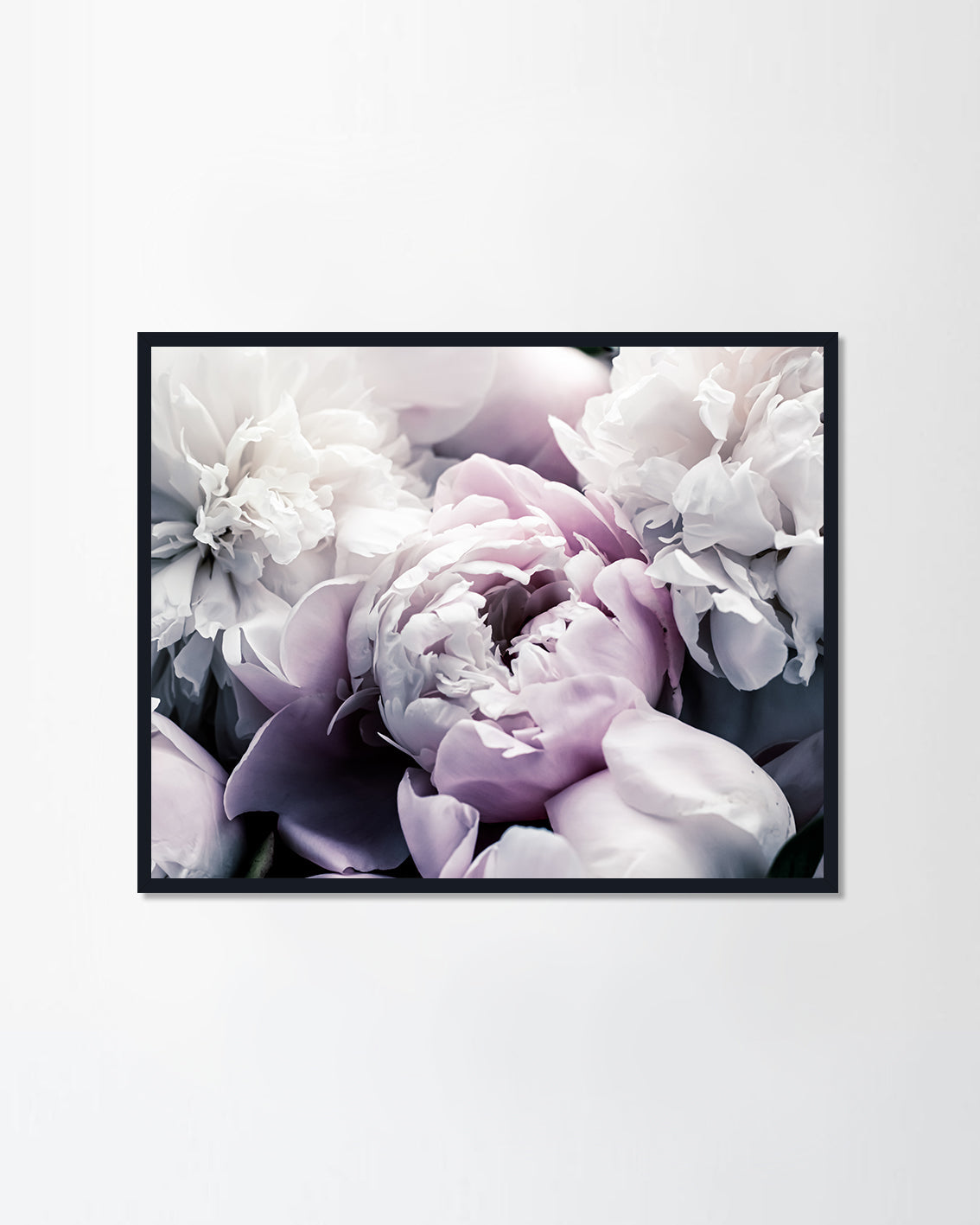 Pastel Peony
