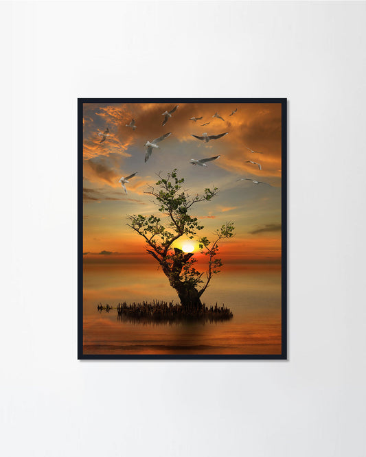 on the sunset