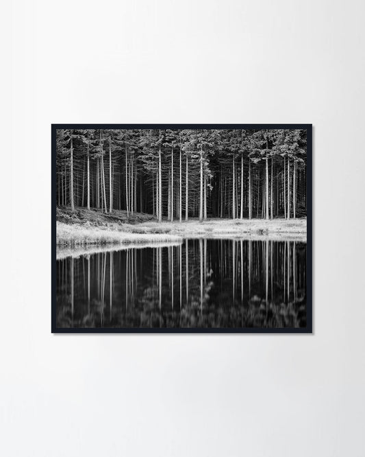 Calm lake