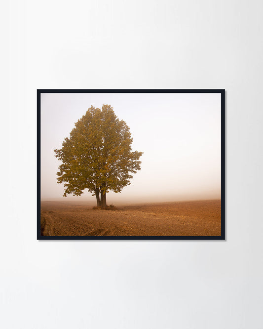 an autumn season