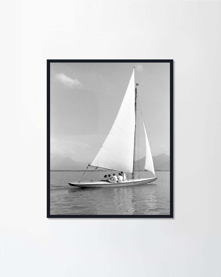 Tropical green leaves Set