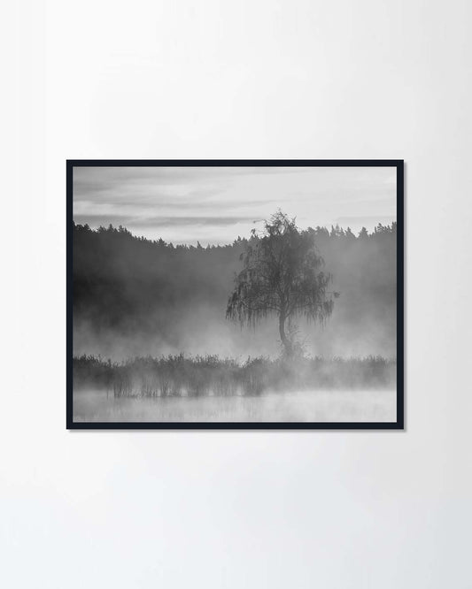 Morning in Lithuania