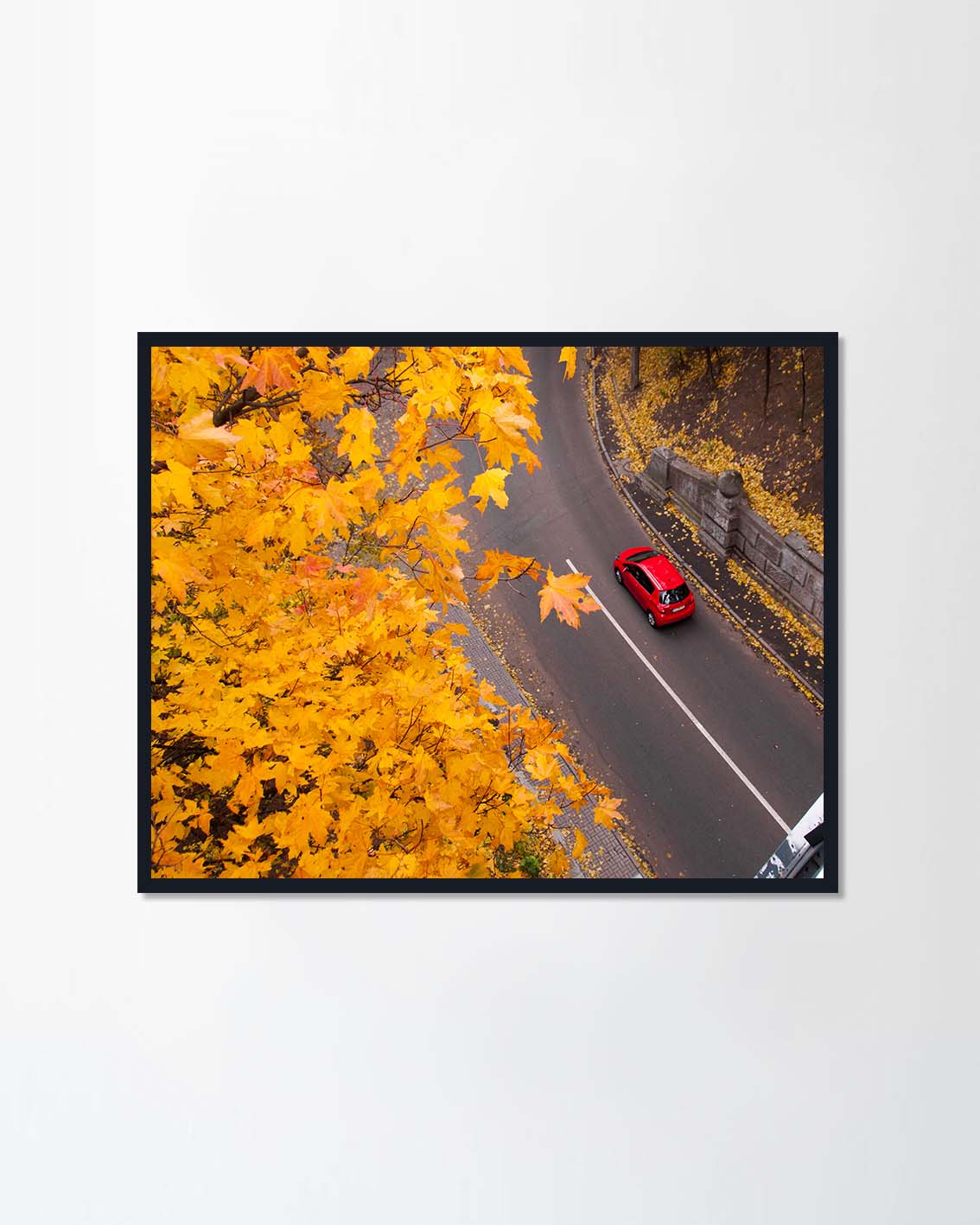 Highway through the park