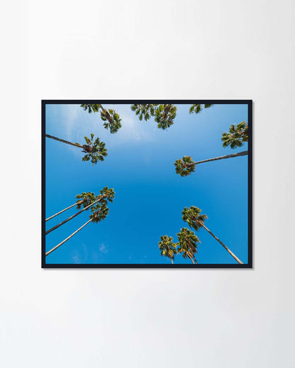 California