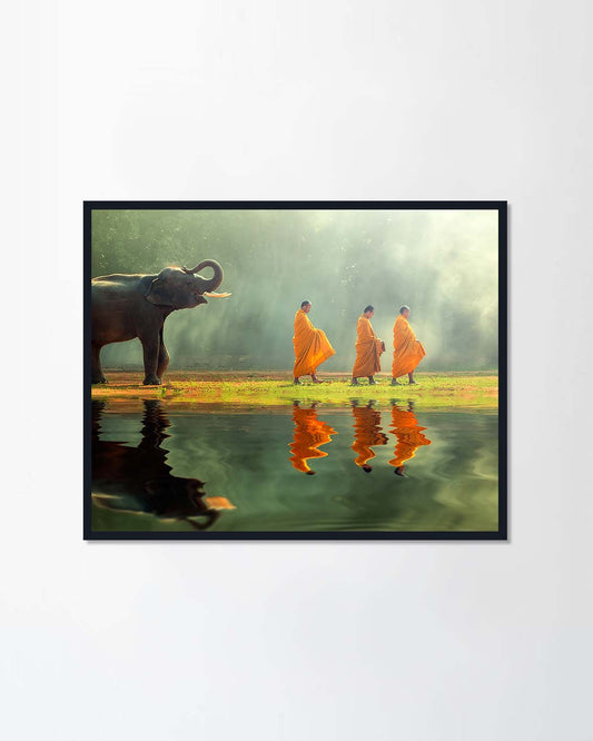 Young elephant with Monk (Canvas)