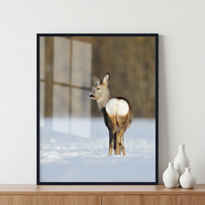 Deer on snow ภาพติดผังสไตล์สแกนดิเนเวีย สำหรับตกแต่งบ้านและคอนโด พร้อมกรอบคุณภาพ