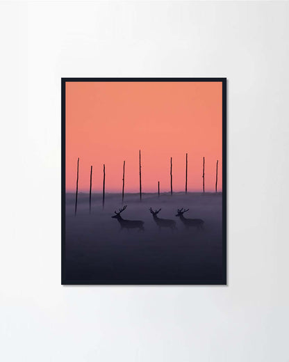 Red deer