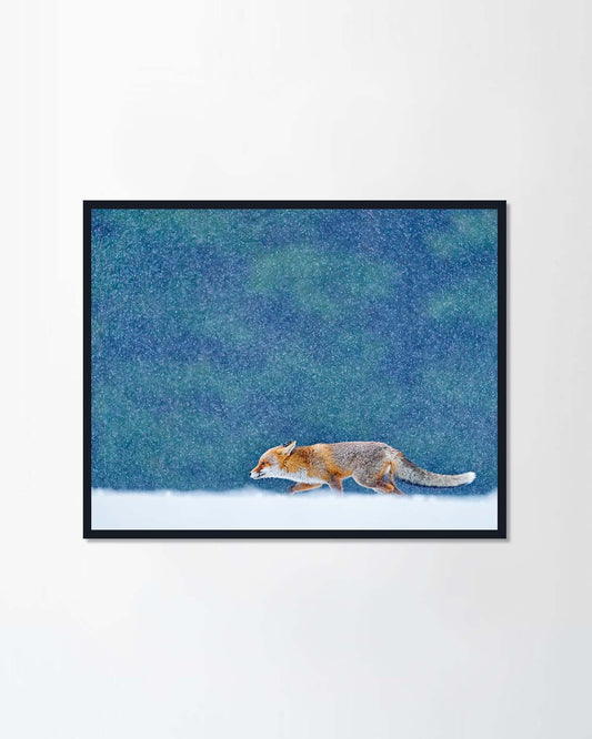 Snow hunting (Canvas)