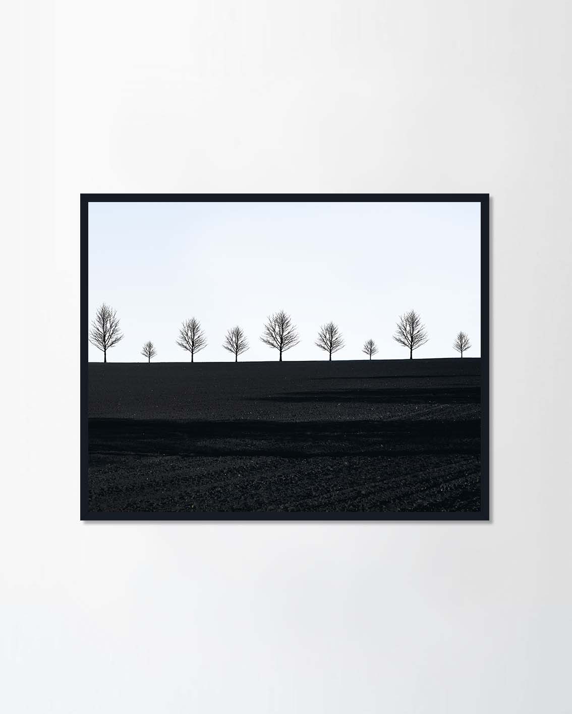 Black field and shadows