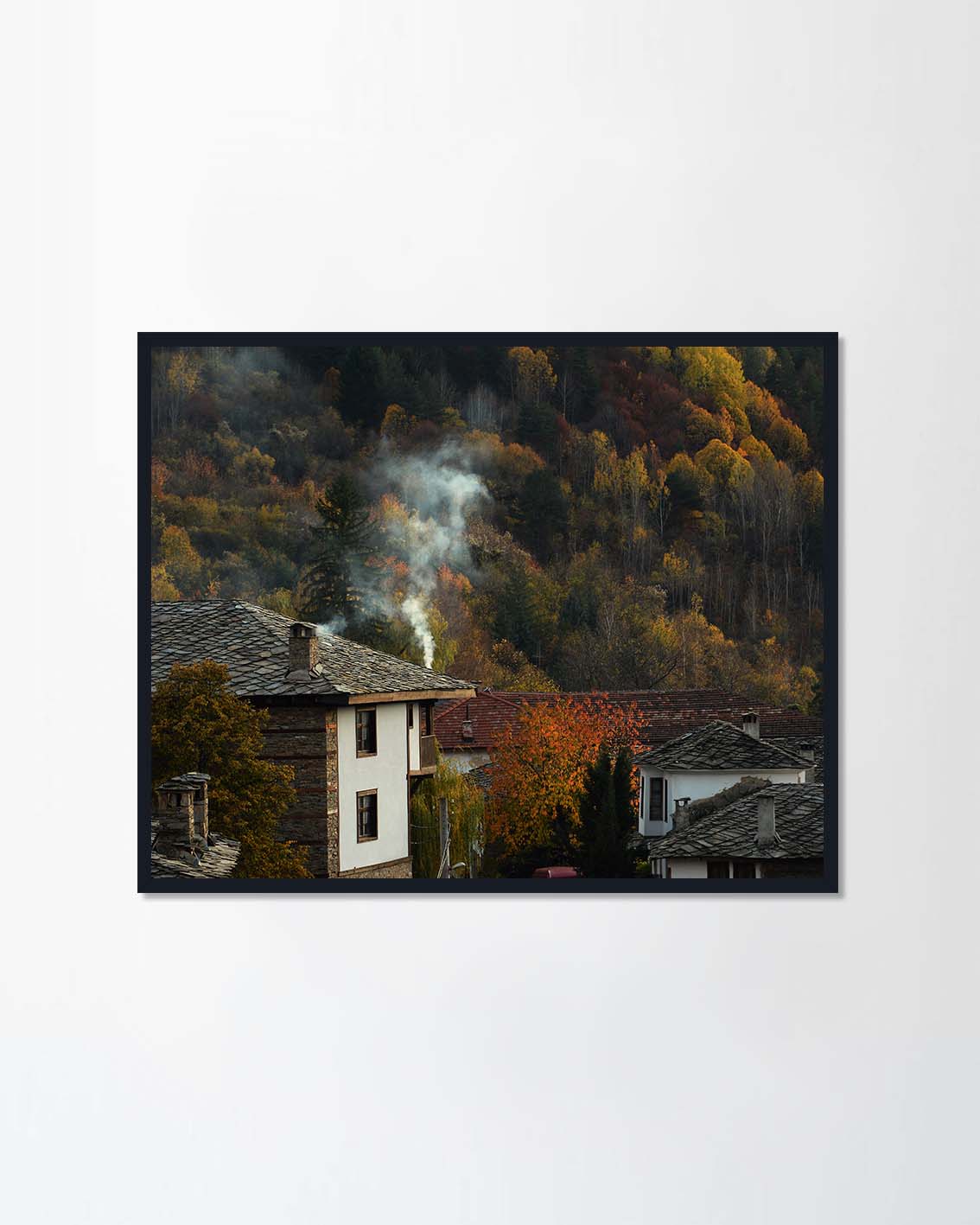 House in the forest with