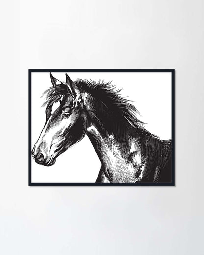Horse Series