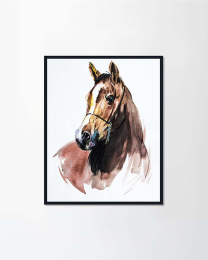 Arabian Horse