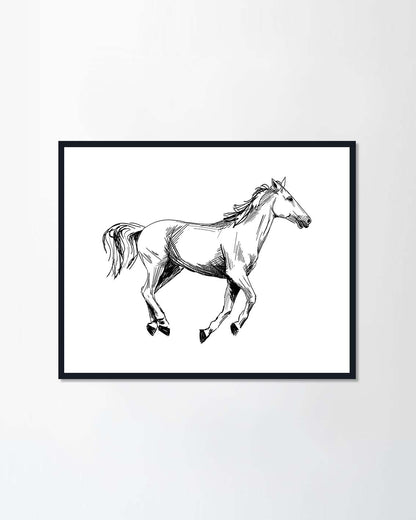 Horse hand drawn