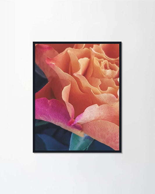 Vintage rose