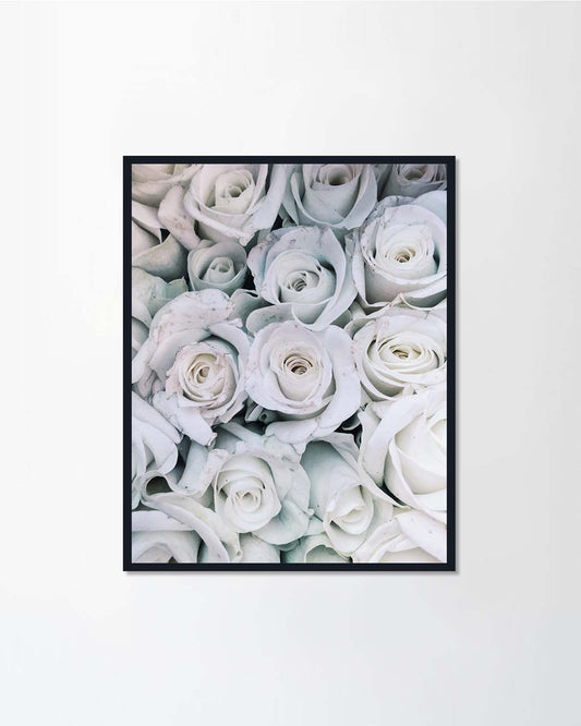 Roses bouquet