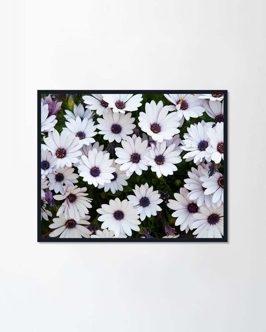 White flower