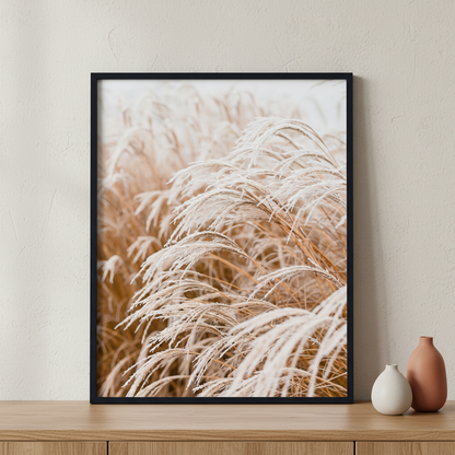 Pampas grass ภาพติดผังสไตล์ธรรมชาติ สำหรับตกแต่งบ้านและคอนโด พร้อมกรอบคุณภาพ