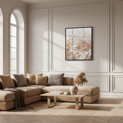 Pampas grass I