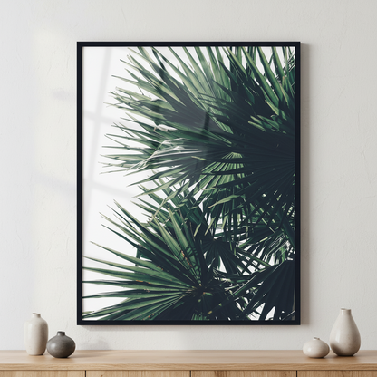 Palm leaves ภาพติดผังสไตล์สแกนดิเนเวีย สำหรับตกแต่งบ้านและคอนโด พร้อมกรอบคุณภาพ