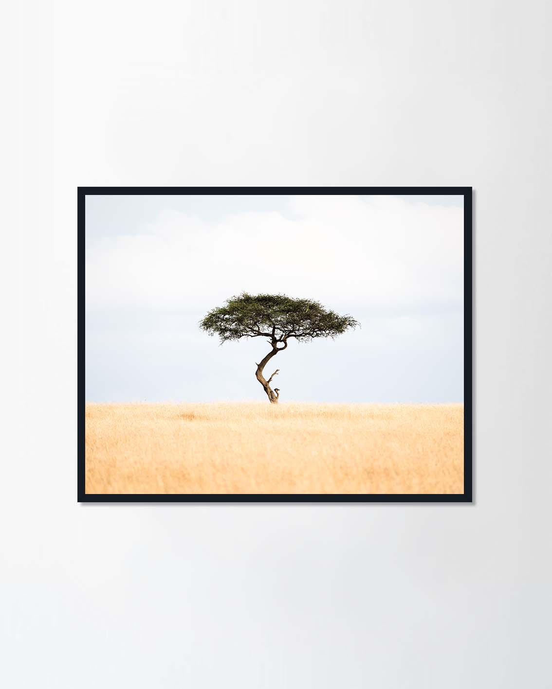 Maasai Mara National Reserve, Kenya