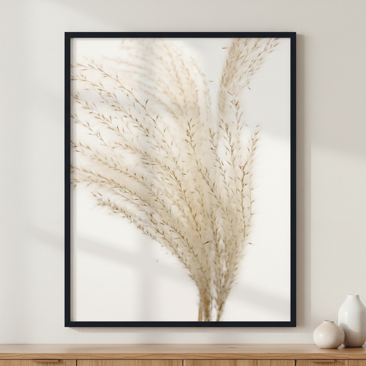 Pampas Grass