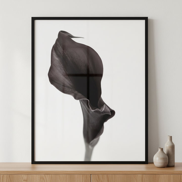 Calla lily flower ภาพติดผังสไตล์สแกนดิเนเวีย สำหรับตกแต่งบ้านและคอนโด พร้อมกรอบคุณภาพ