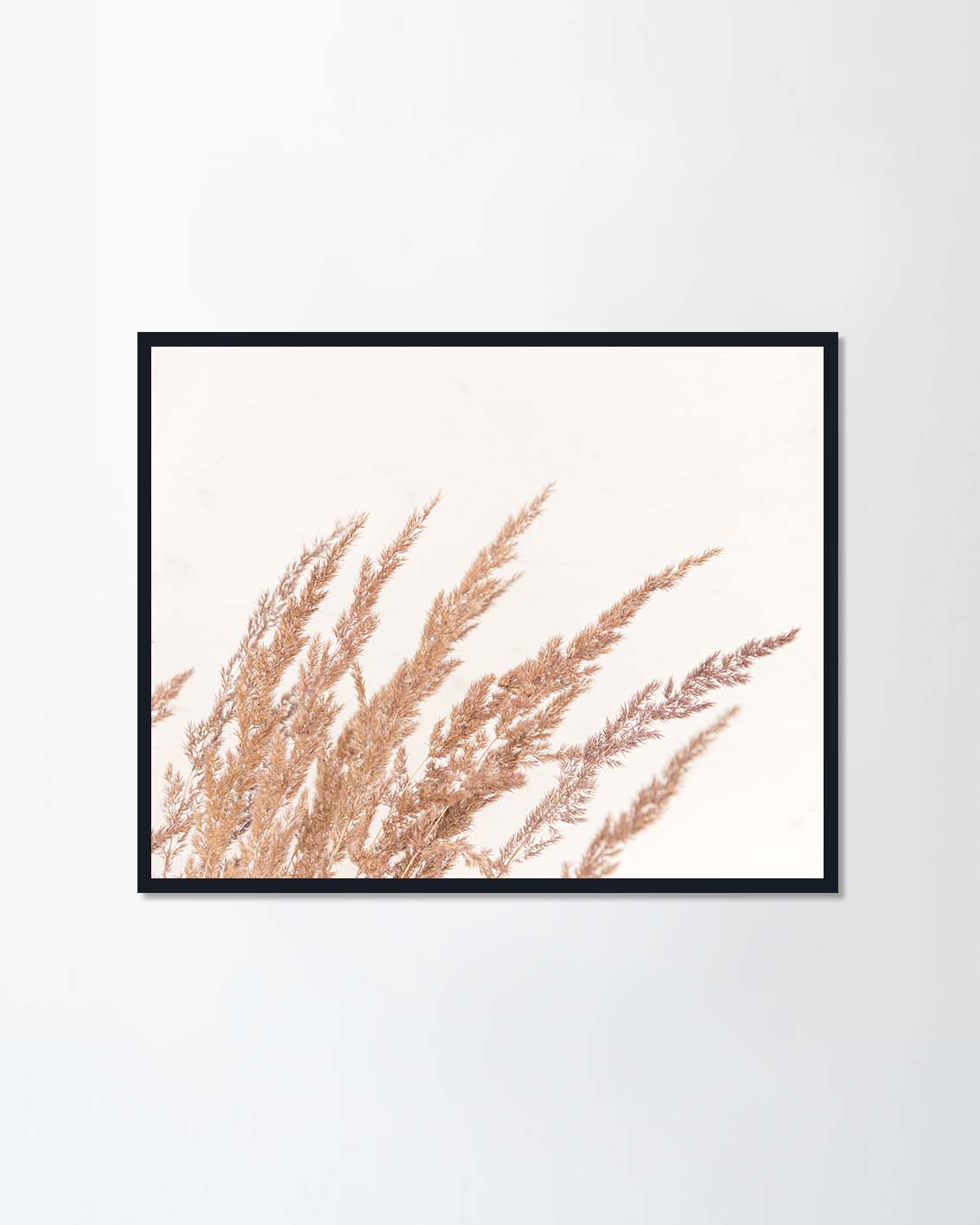 Dry reeds