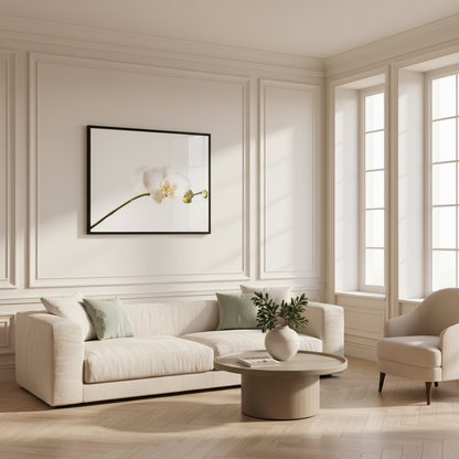 White orchid flower
