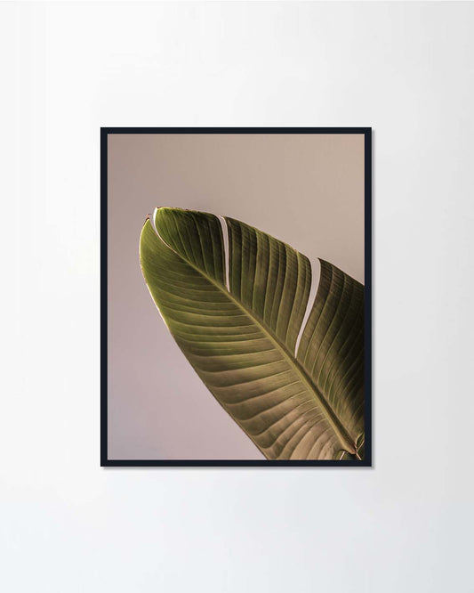 Palm leaf