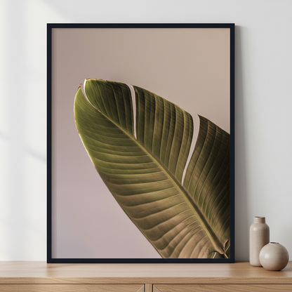 Palm leaf ภาพติดผังสไตล์ธรรมชาติ สำหรับตกแต่งบ้านและคอนโด พร้อมกรอบคุณภาพ