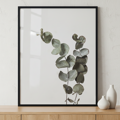 Eucalyptus Branch ภาพติดผังสไตล์ธรรมชาติ สำหรับตกแต่งบ้านและคอนโด พร้อมกรอบคุณภาพ