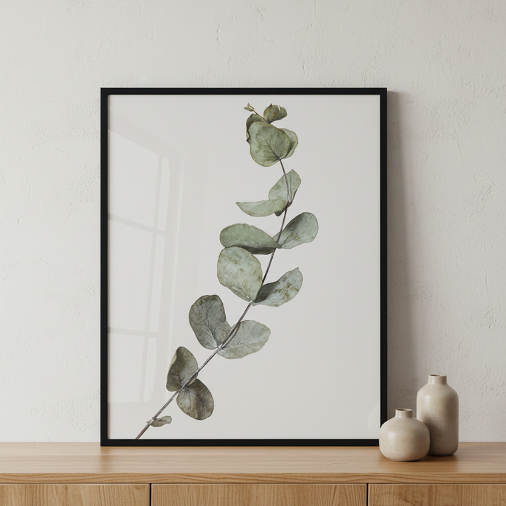 Eucalyptus Branch