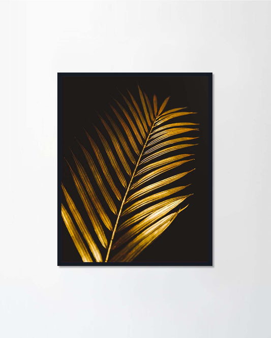 Tropic minimalist