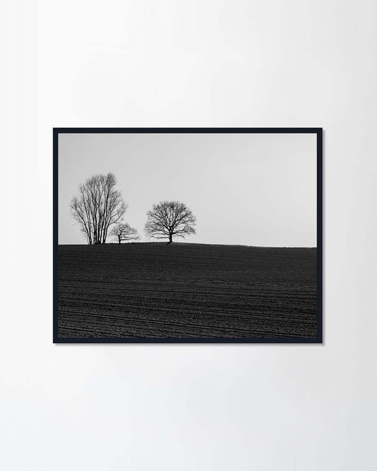 Calm sky (Canvas)