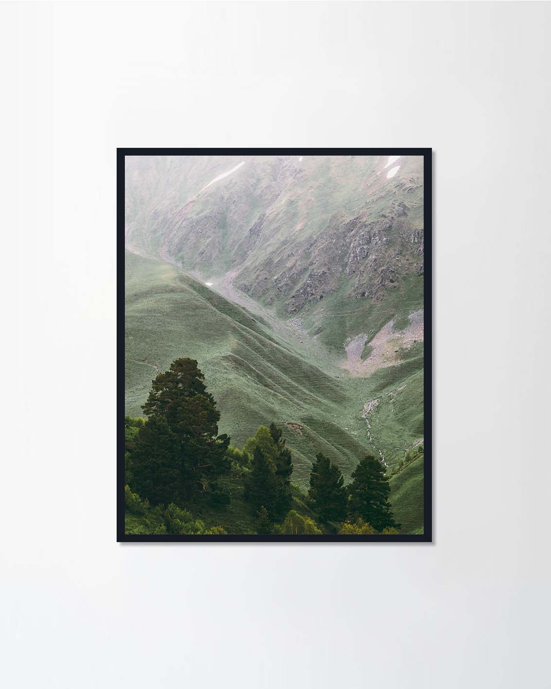 Forest and Mountains