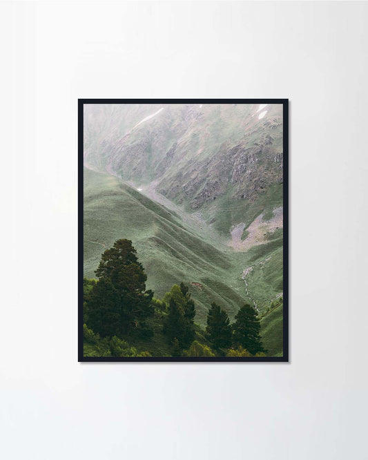 Forest and Mountains