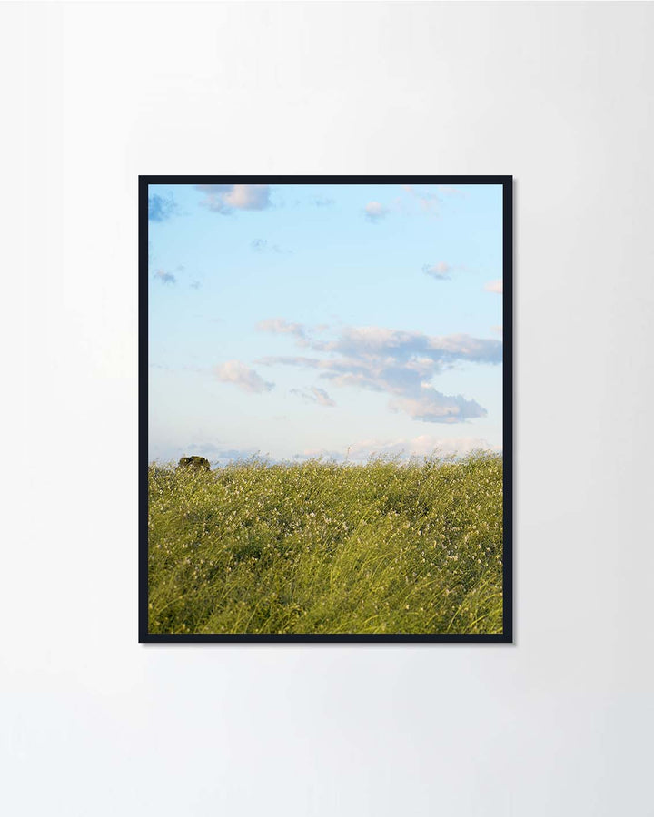 Andalucia, Spain, 2019.