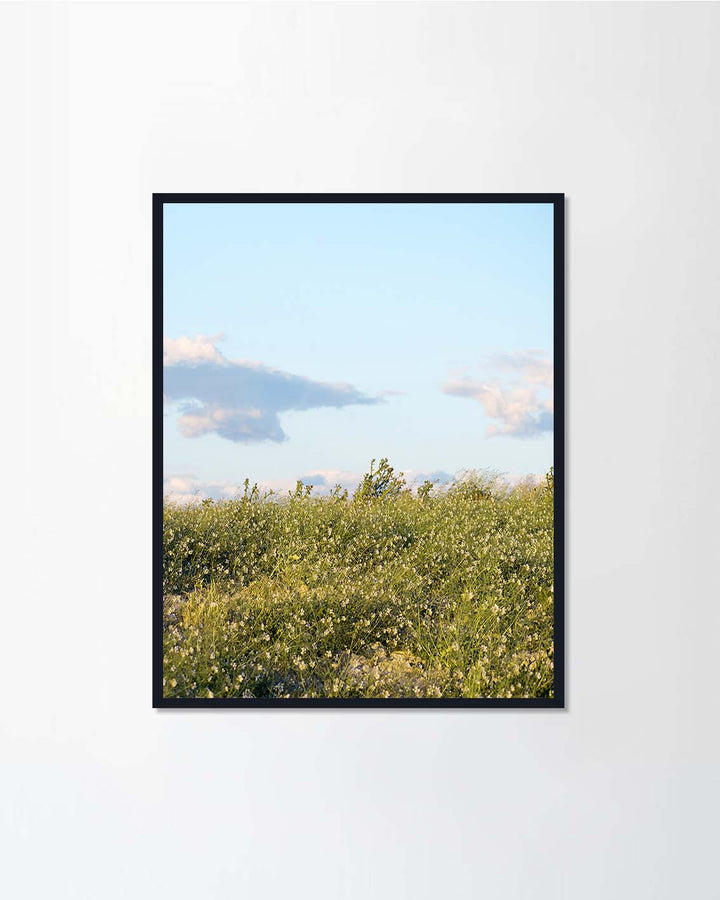 Andalucia, Spain, 2019.