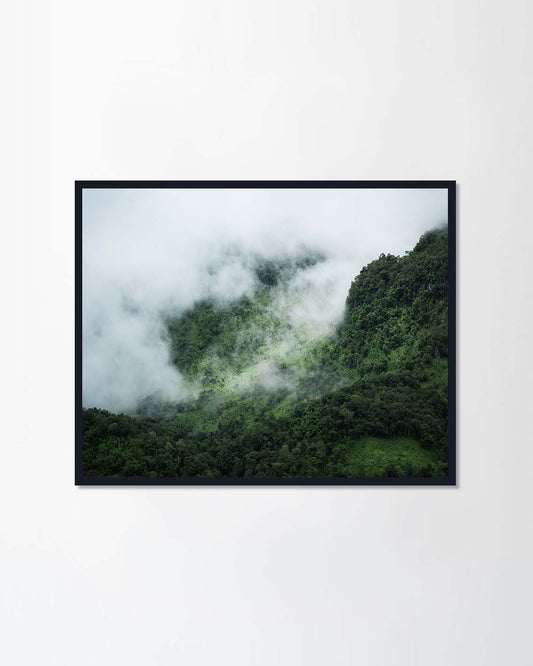 Nature (Canvas)