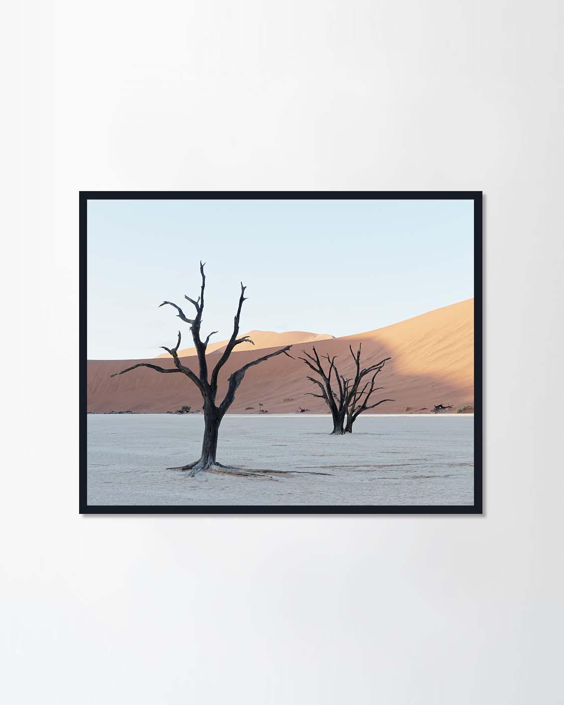 Dead Vlei, Namibia