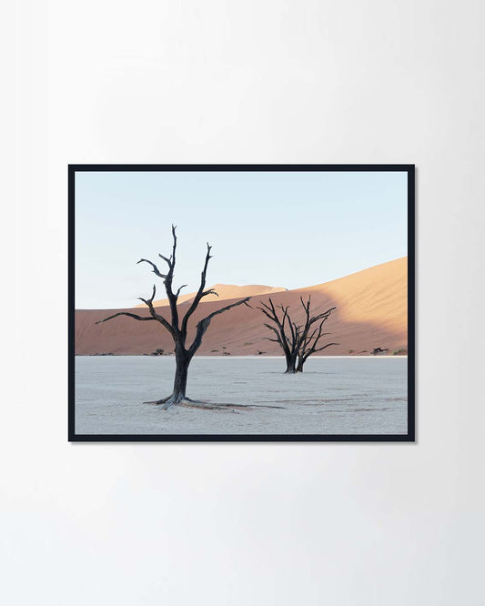 Dead Vlei, Namibia