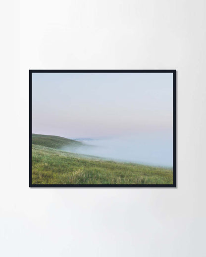 Beautiful fog