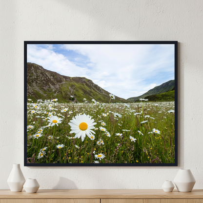 Daisies ภาพติดผังสไตล์สแกนดิเนเวีย สำหรับตกแต่งบ้านและคอนโด พร้อมกรอบคุณภาพ