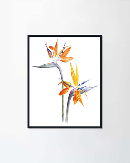 Botanical
