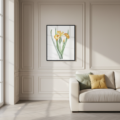 Marsh iris