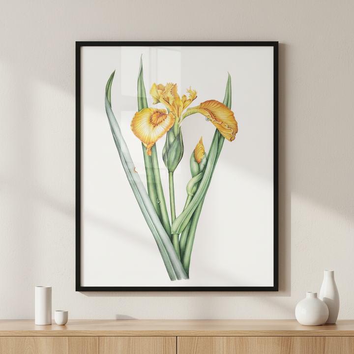 Marsh iris ภาพติดผังสไตล์ธรรมชาติ สำหรับตกแต่งบ้านและคอนโด พร้อมกรอบคุณภาพ